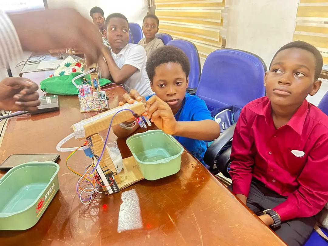What De'FES means — De'FES STEM LTD